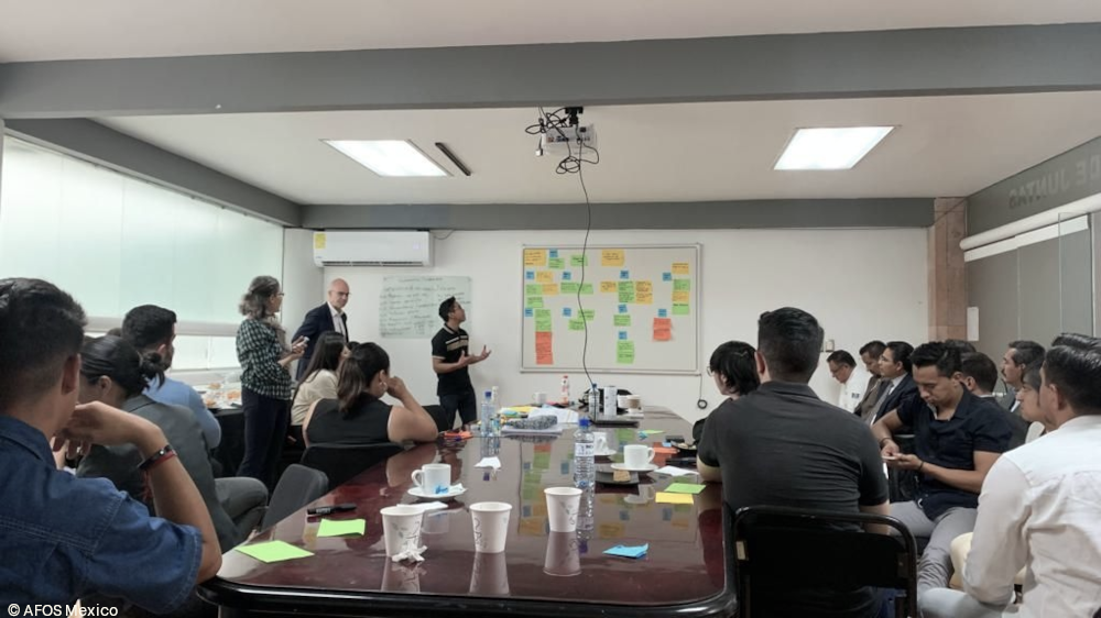 Workshop Qualität - Ausbau der dualen Ausbildung in Mexiko